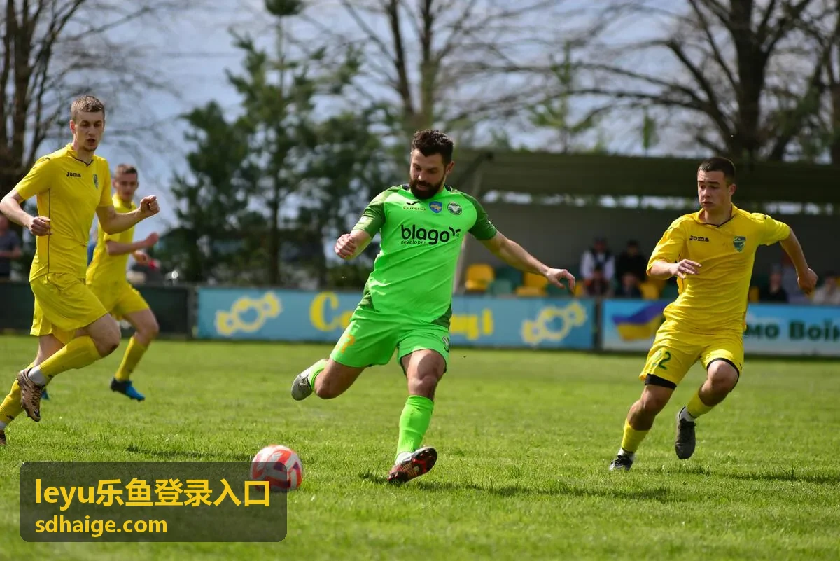 leyu乐鱼登录入口权限分级管理